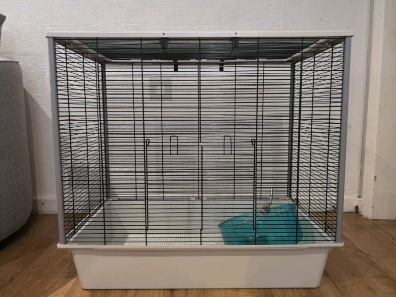 gumtree rat cage